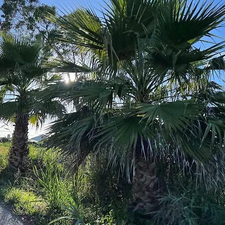 Escapada Amarela Et Detente בית נופש *