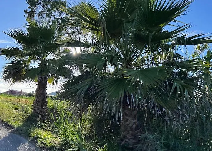 Escapada Amarela Et Détente Casa vacanze *